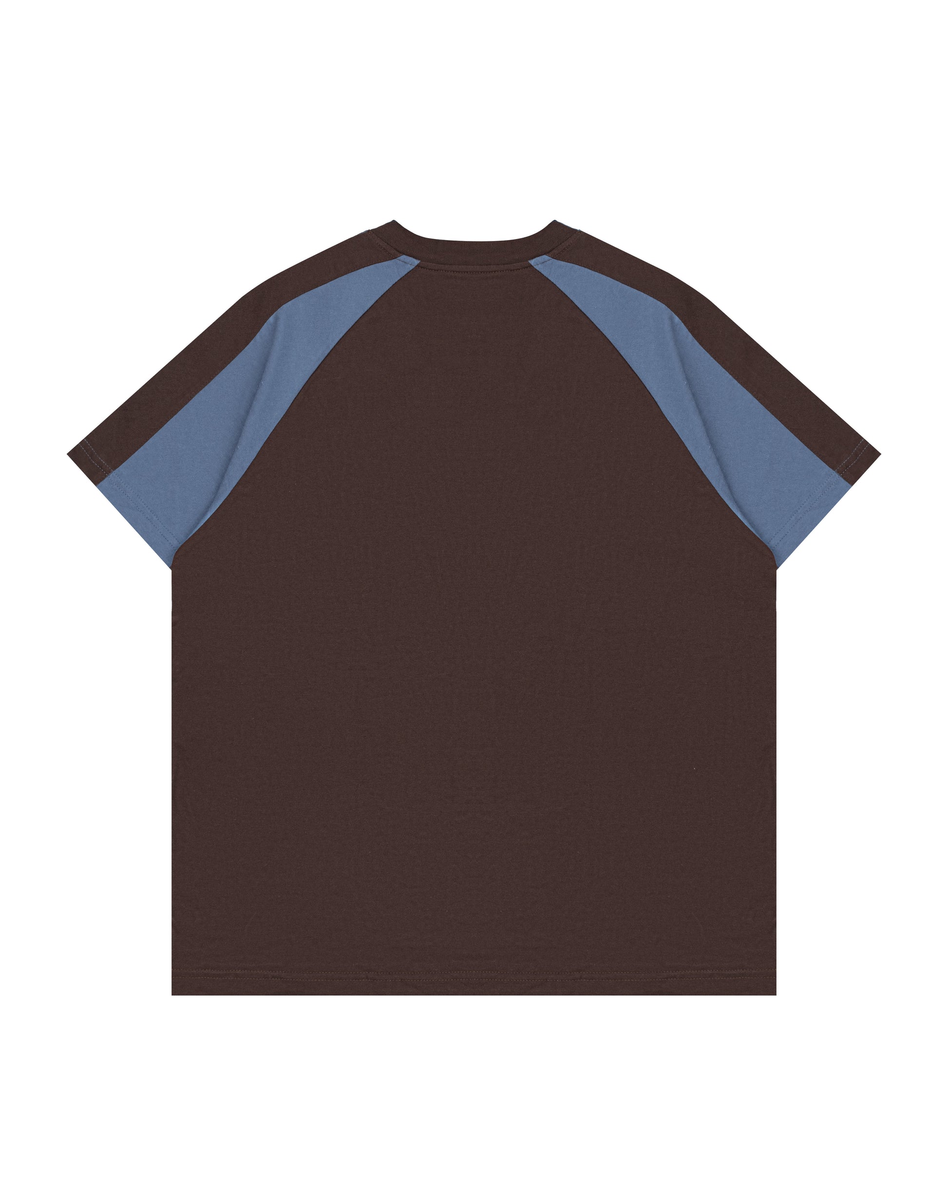 Paneled Raglan Tee in Brown